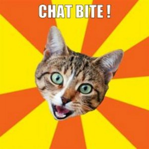 chat bite